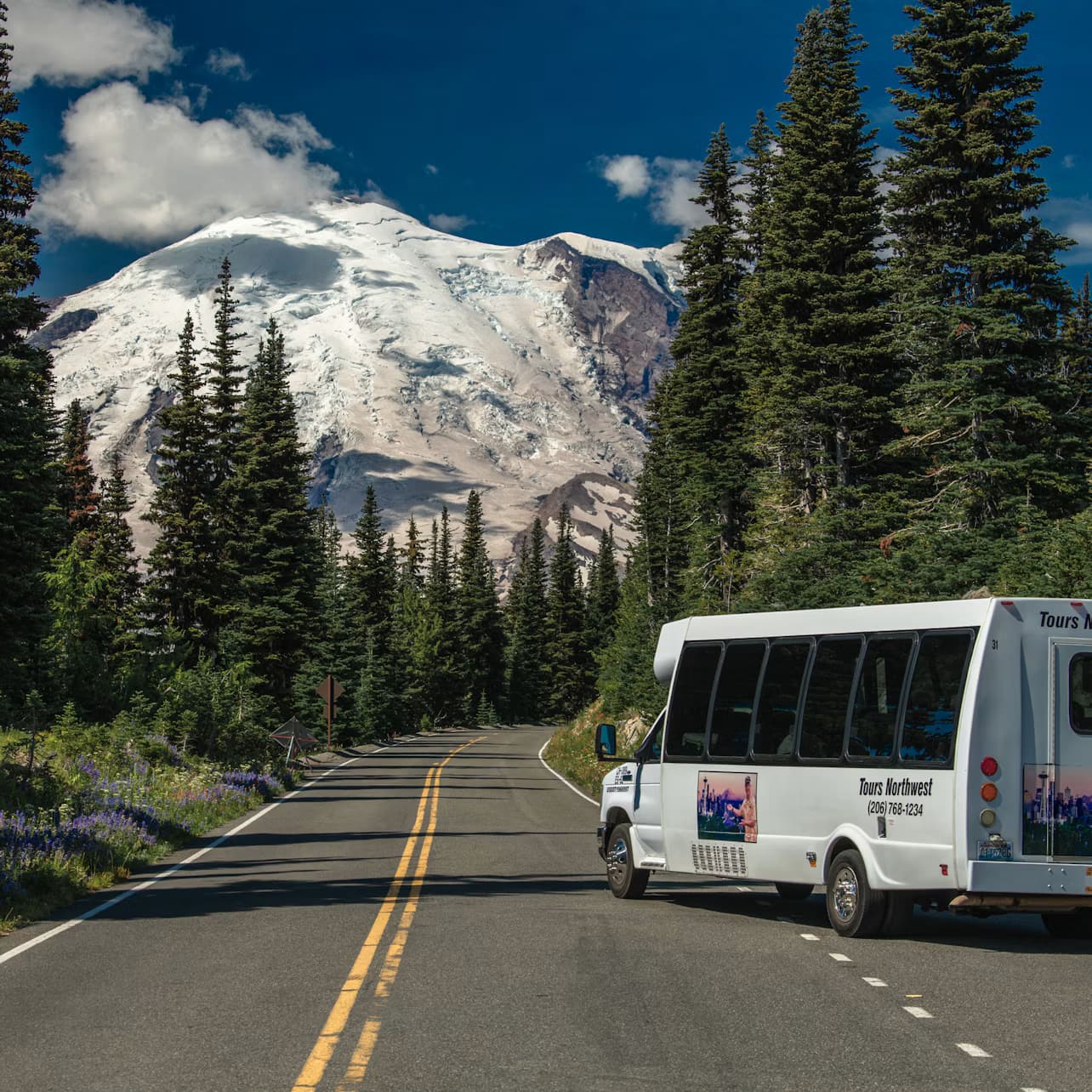 Mt. Rainier National Park: Guided Tour