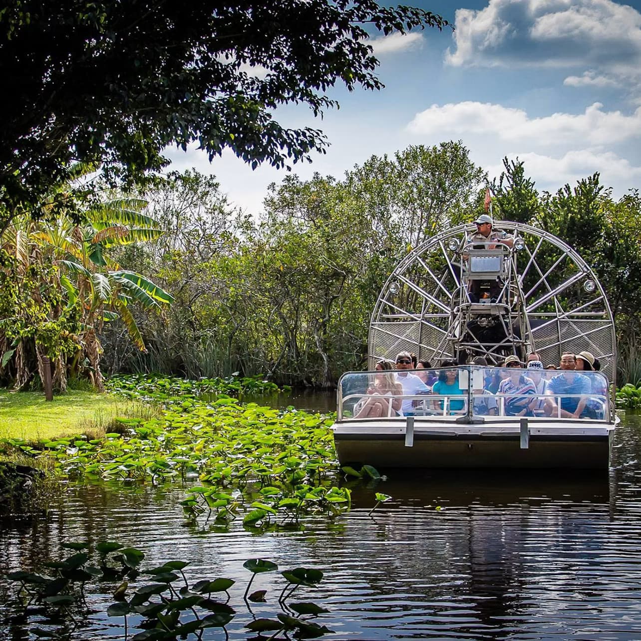 Miami: Everglades Safari Park Express Tour + Airboat Ride
