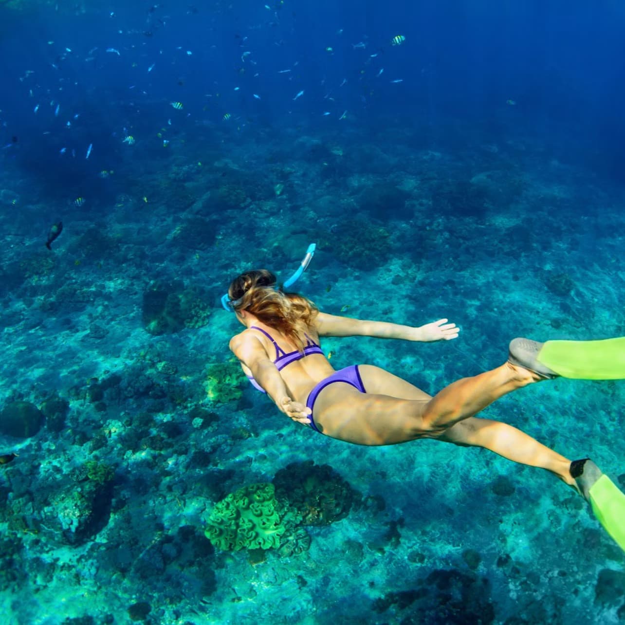 Padang Bai: Blue Lagoon & Tanjung Jepun Snorkeling with Lunch & Transfer