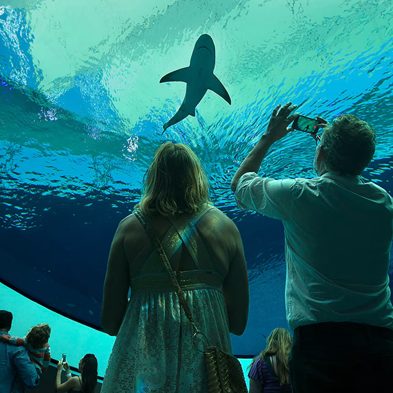 Phillip & Patricia Frost Museum of Science, Aquarium & Planetarium: Entry Ticket