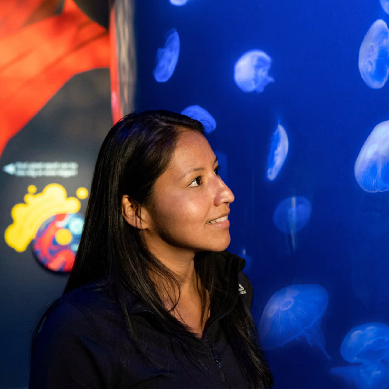 New York Aquarium: Entry Ticket