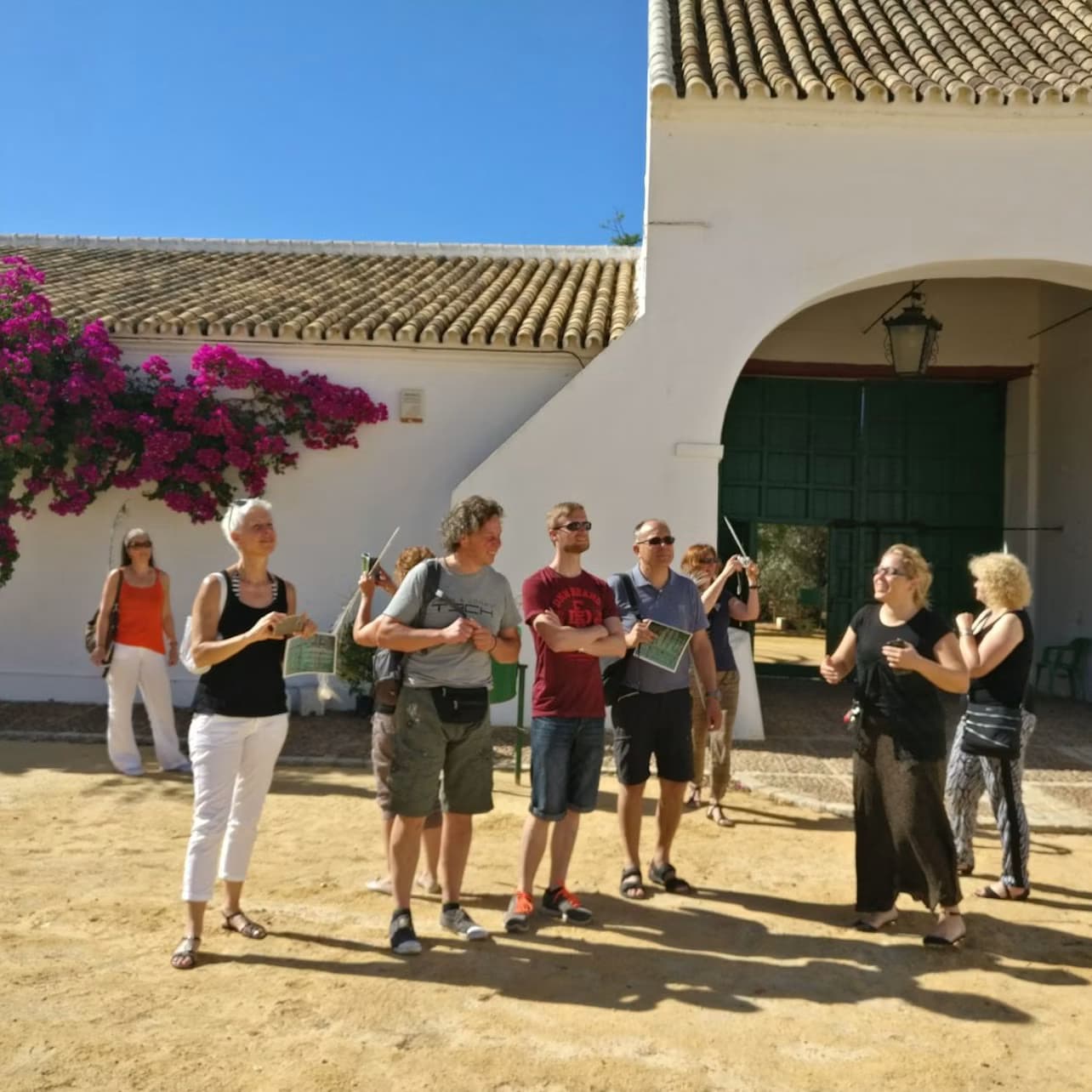 Tarifa: Dolphin & Whale Watching Tour from Seville