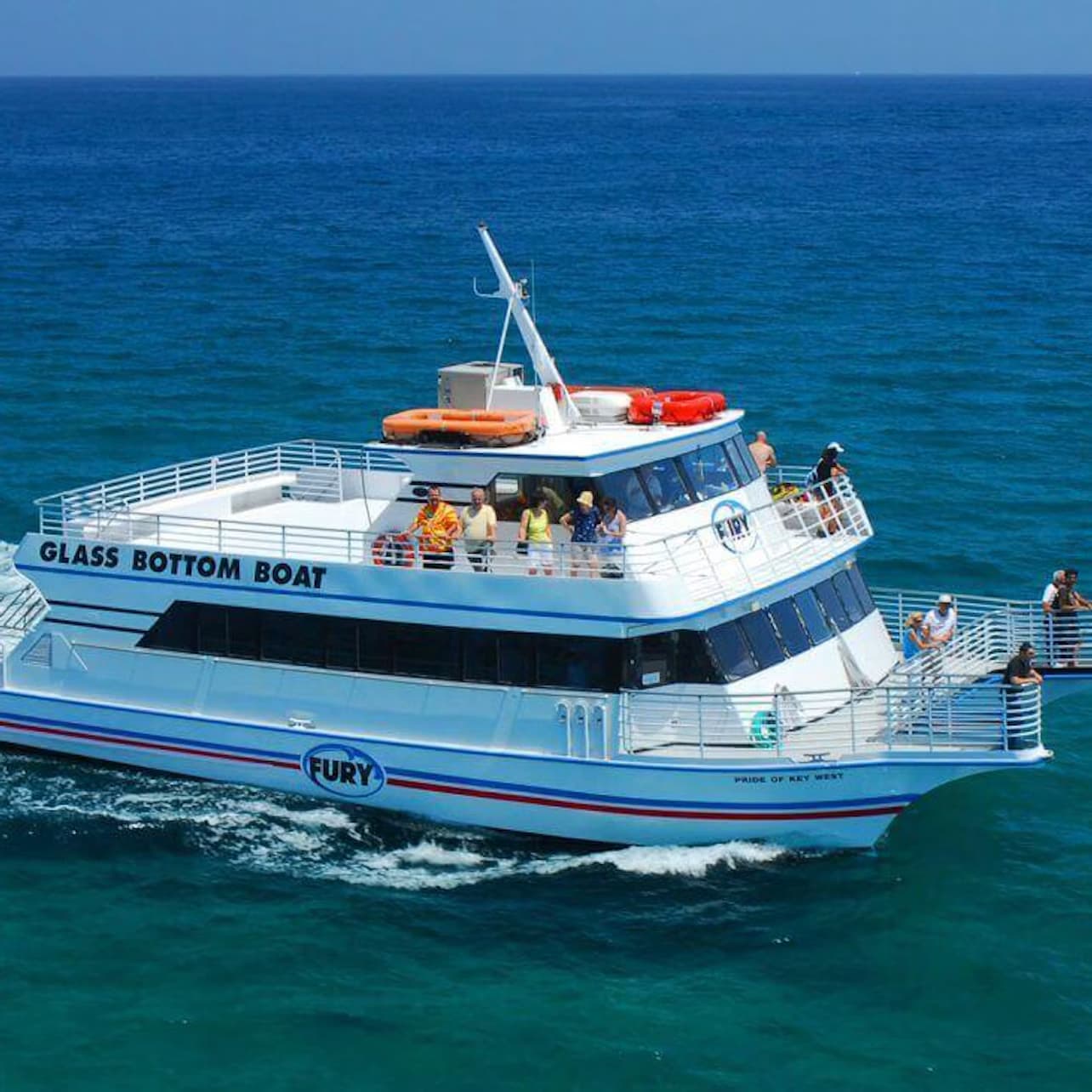 Key West: Dolphin Watching Eco Tour