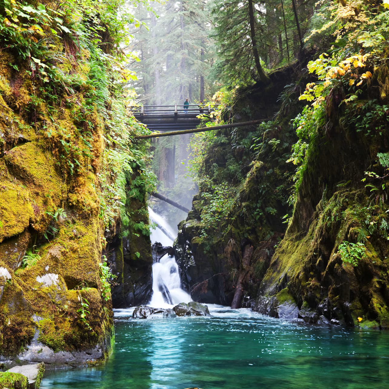 Olympic National Park: All-Inclusive Small Group Day Trip from Seattle