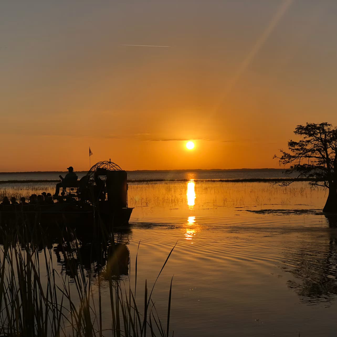 Kissimmee: 1-Hr Boggy Creek Everglades Airboat Tour