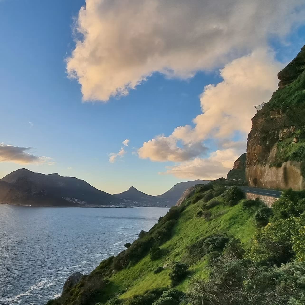 Cape Peninsula: Full-Day Guided Tour + Roundtrip Transfer