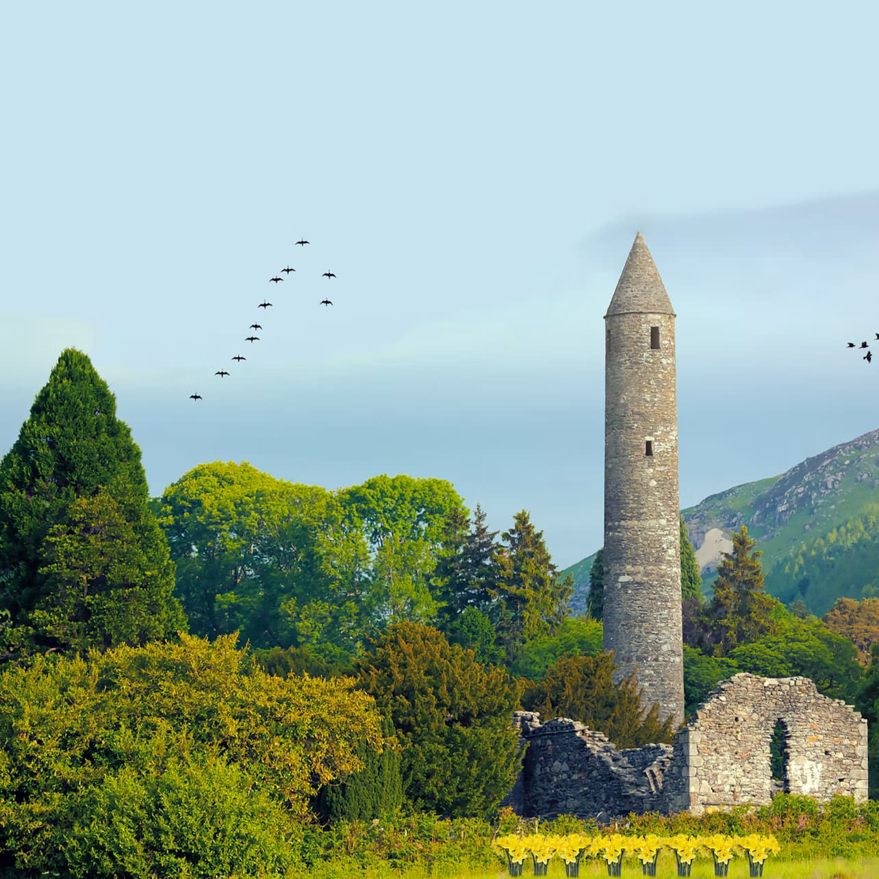 Wicklow, Glendalough & Kilkenny: Tour from Dublin