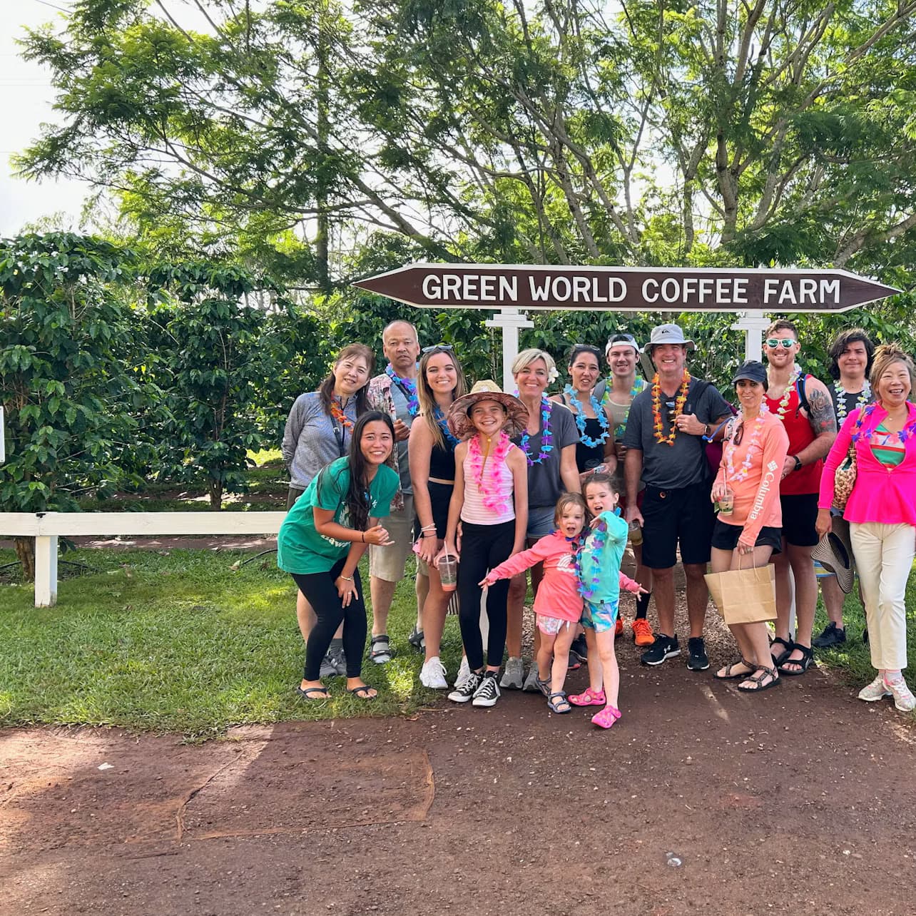 Turtle Canyon: Guided Snorkeling Experience + Live Hula Show + Snacks