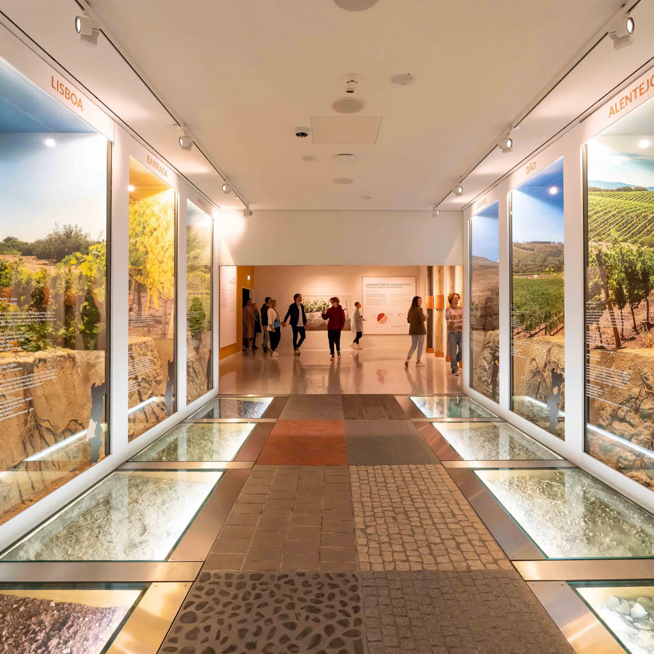 WOW Porto: 5 Museums Entry Ticket + Chocolate & Wine Tastings