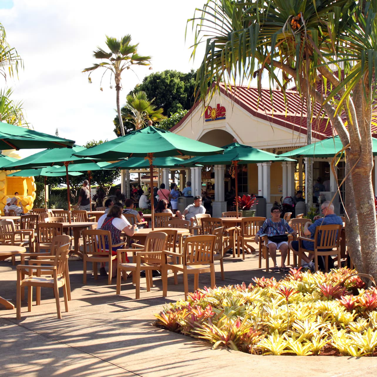 Dole Plantation, Kō Hana Distillers & Mauka Warriors Luau: Guided Tour + Dinner