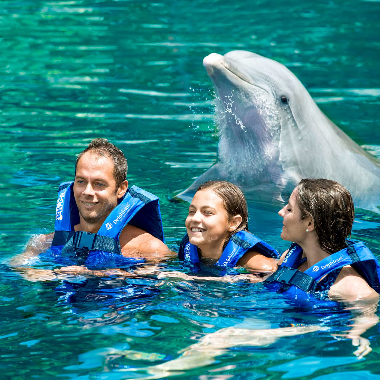 Delphinus Xel-Há: Fast Track Ticket + Hotel Pickup + Swim with Dolphins