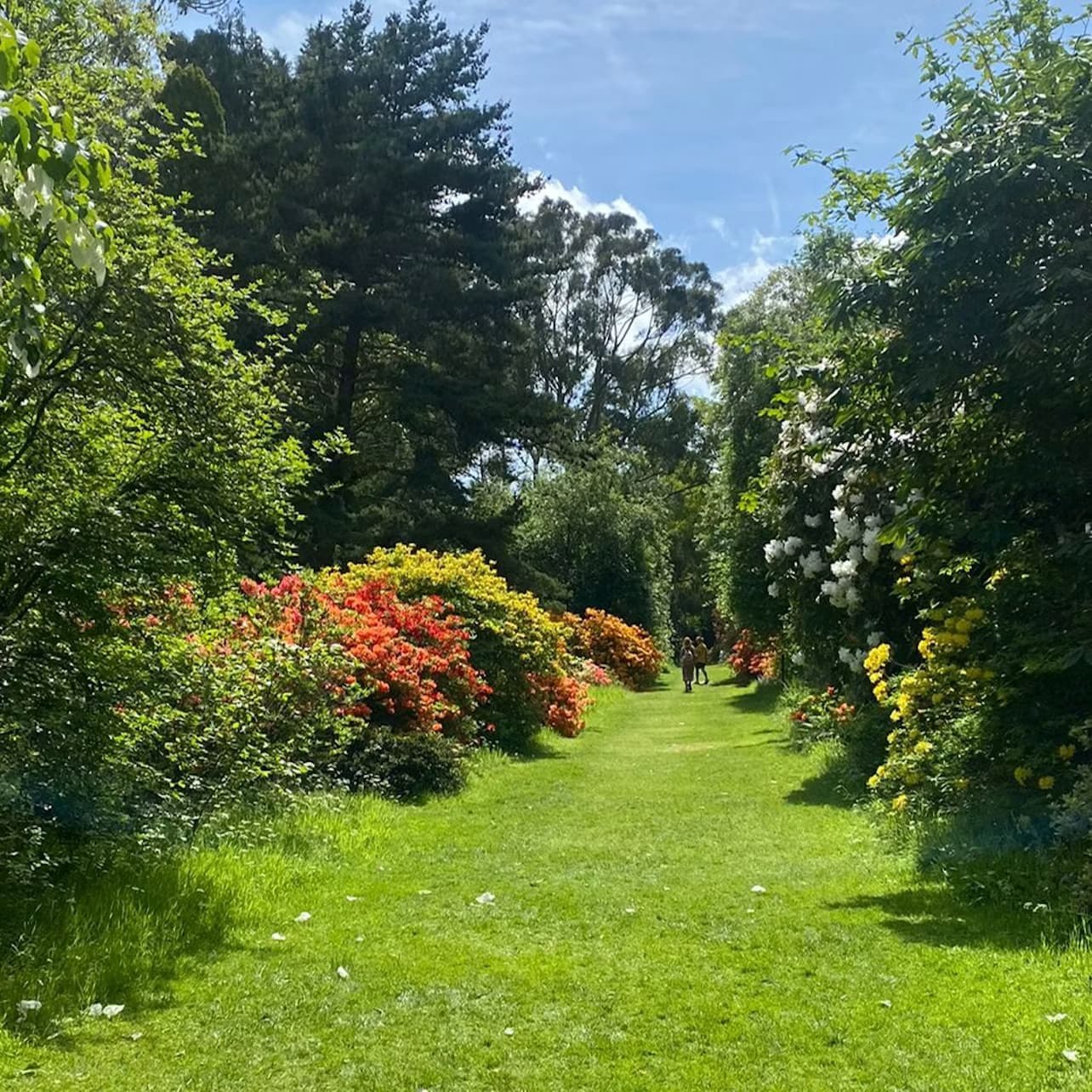 Avoca Mount Usher Gardens: Self Guided Experience