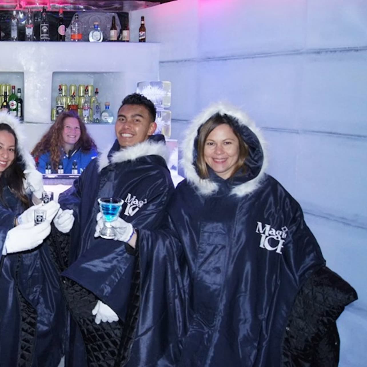 Magic Ice Bar Reykjavik: Entry + Signature Drink