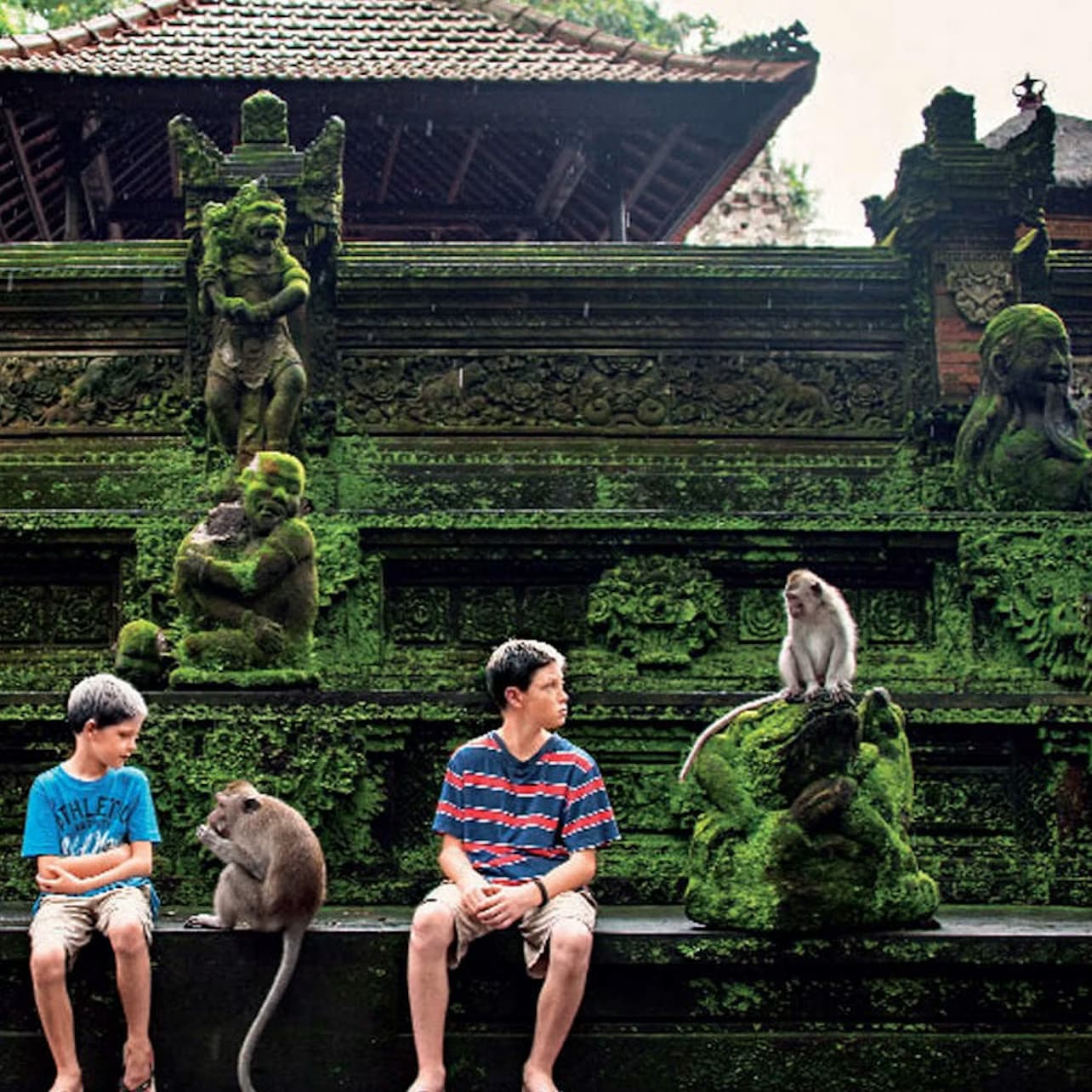 Bali: Leke-Leke Waterfall, Monkey Forest & Jungle Swing Tour with Transfer
