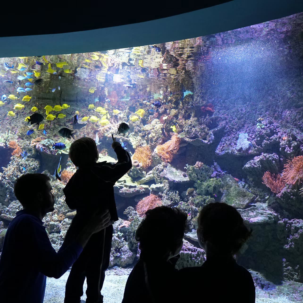 Seville Aquarium: Entry Ticket