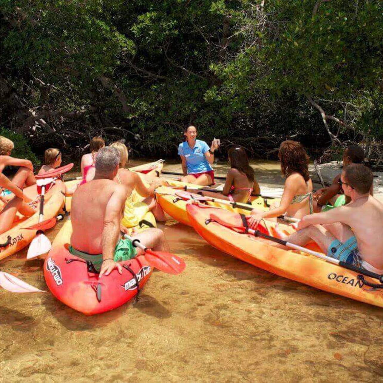 Key West: Island Adventure Eco Tour
