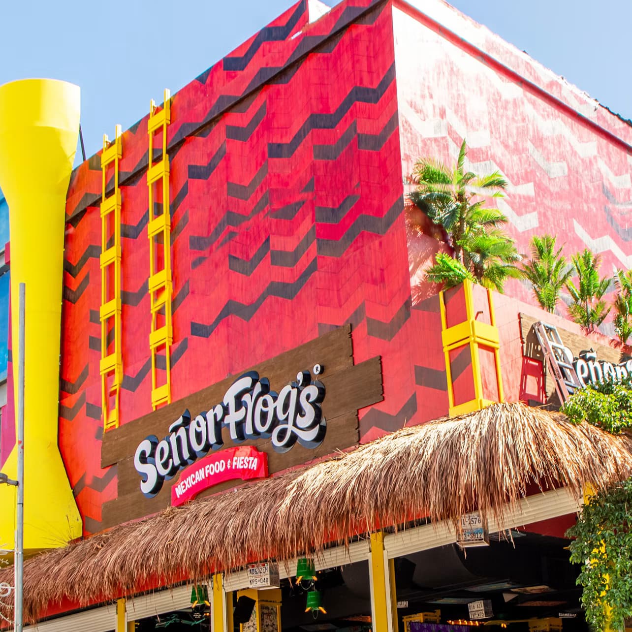 Señor Frog's Playa del Carmen: Frog's Pass