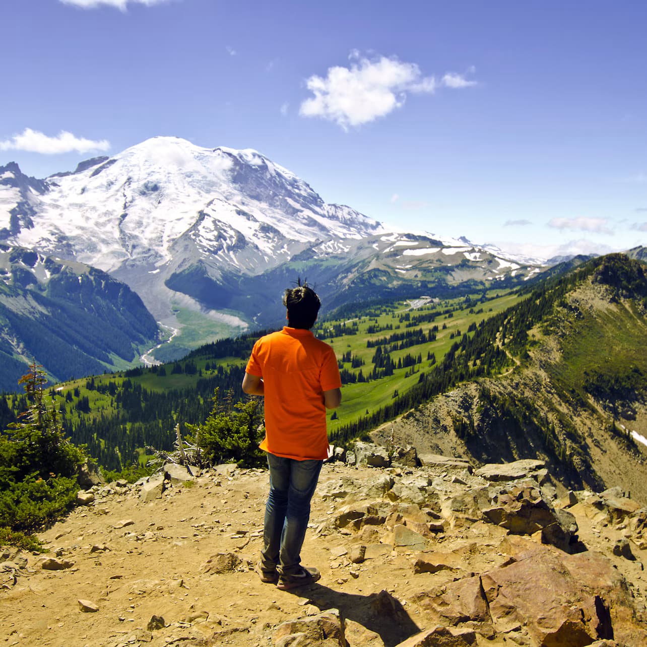 Mt. Rainier: All-Inclusive Small-Group Day Trip from Seattle