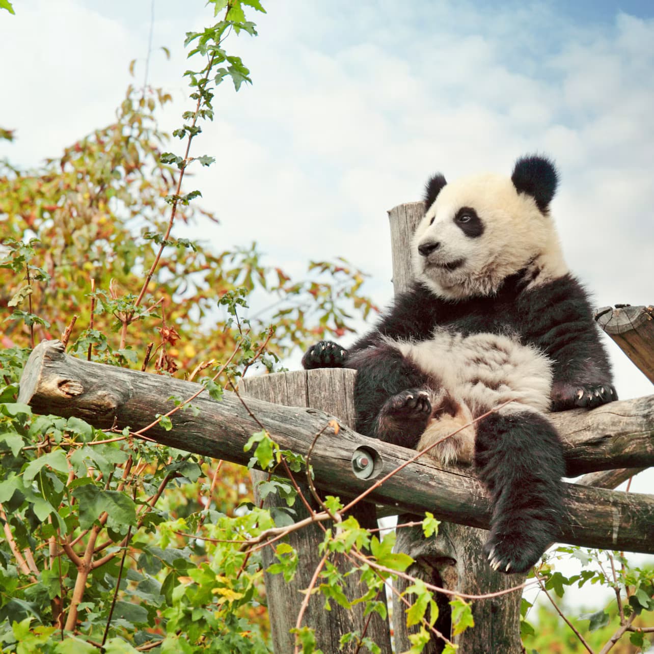 Schönbrunn Zoo: Skip The Line Admission Ticket