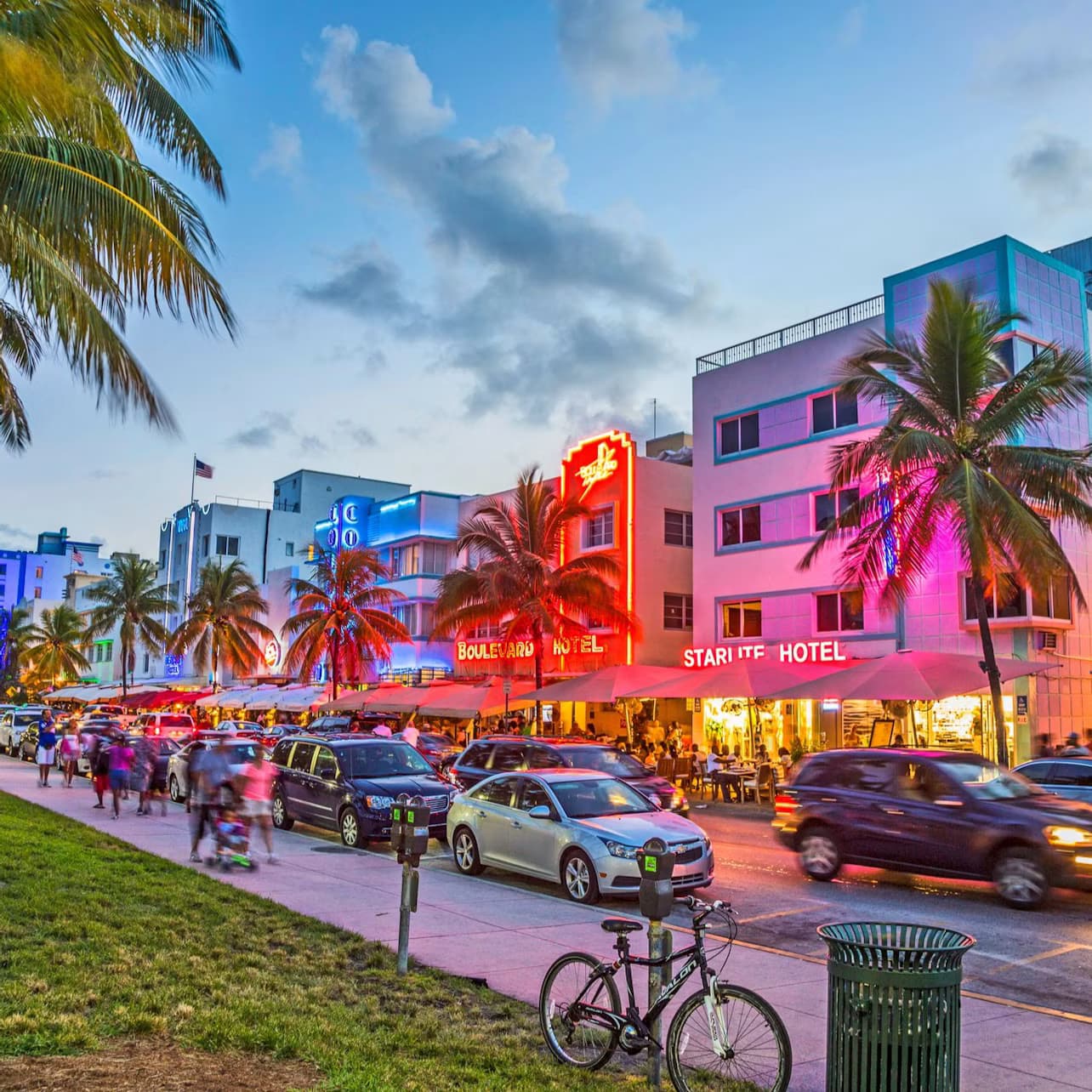 Miami: Everglades Half-Day Trip + Airboat + Roundtrip Bus Transfer