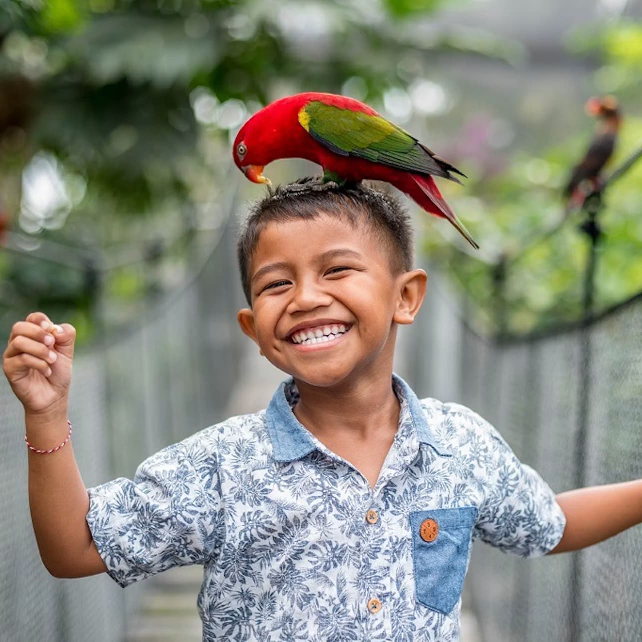 Bali Bird Park: Admission Ticket