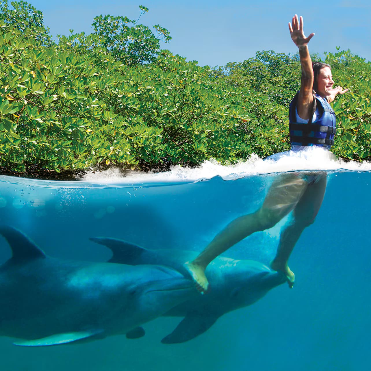 Delphinus Xcaret: Swim with Dolphins