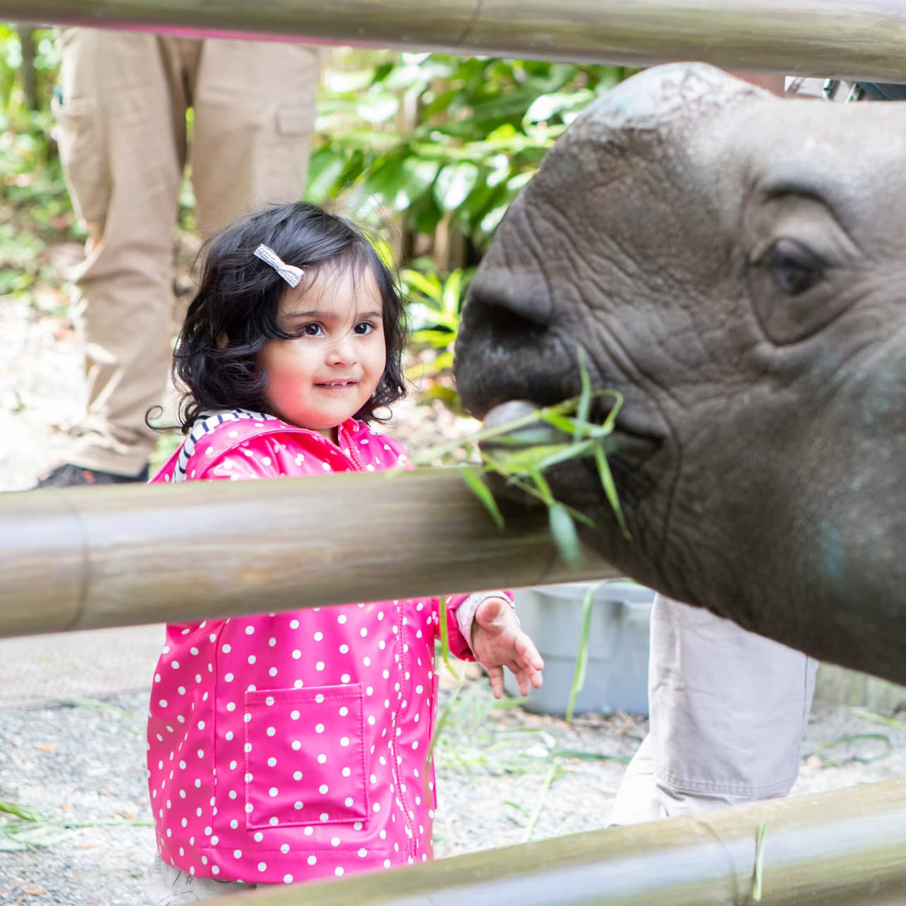 Woodland Park Zoo: Skip The Line Ticket