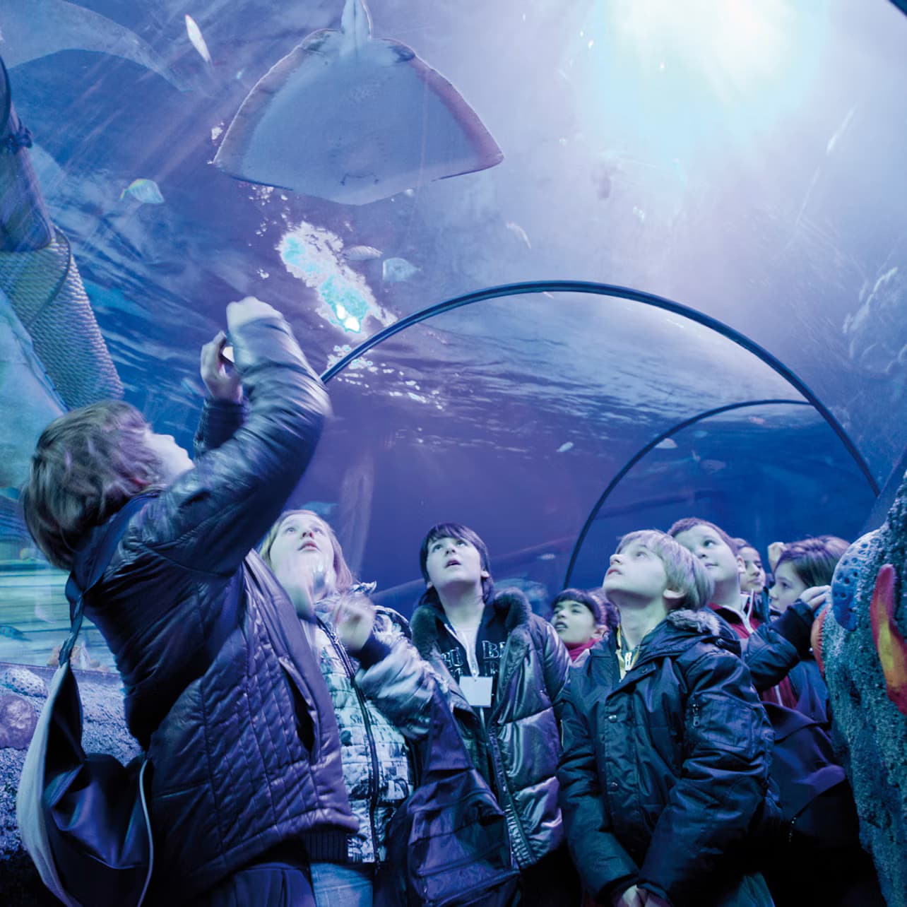 SEA LIFE Arizona: Entry Ticket