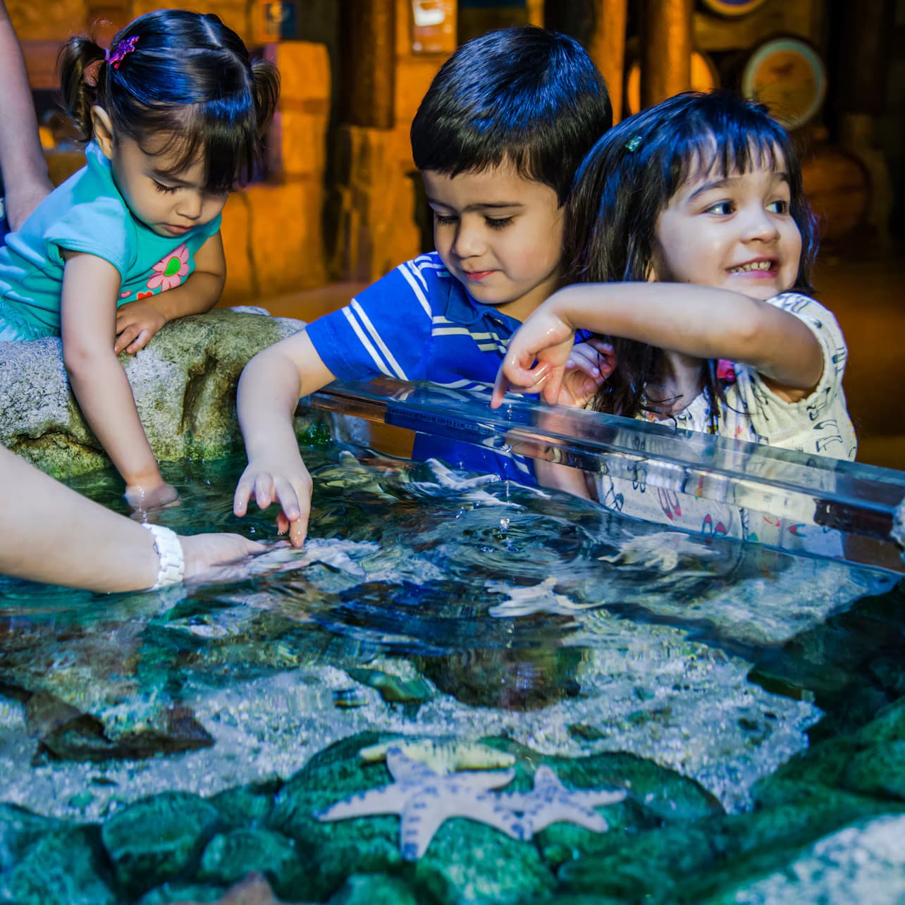 SEA LIFE Aquarium at American Dream: General Admission