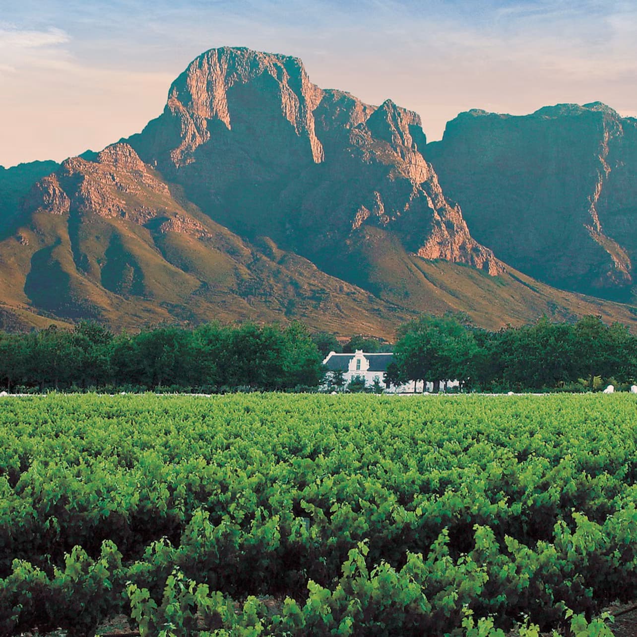 Franschhoek: Hop-on Hop-off Wine Tram Tour from Cape Town