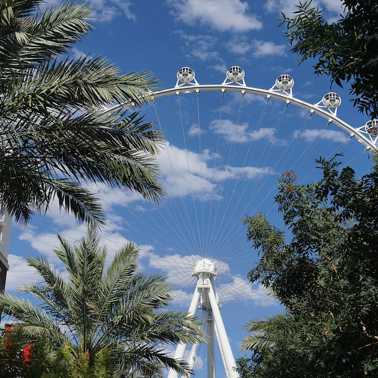 LINQ High Roller: Entry Ticket