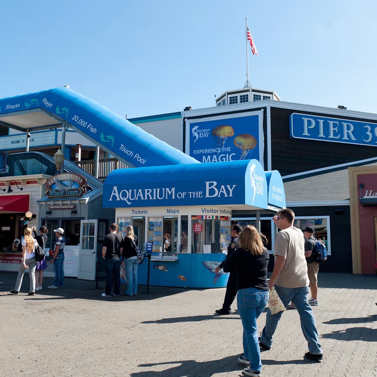 Aquarium of the Bay: Entry Ticket