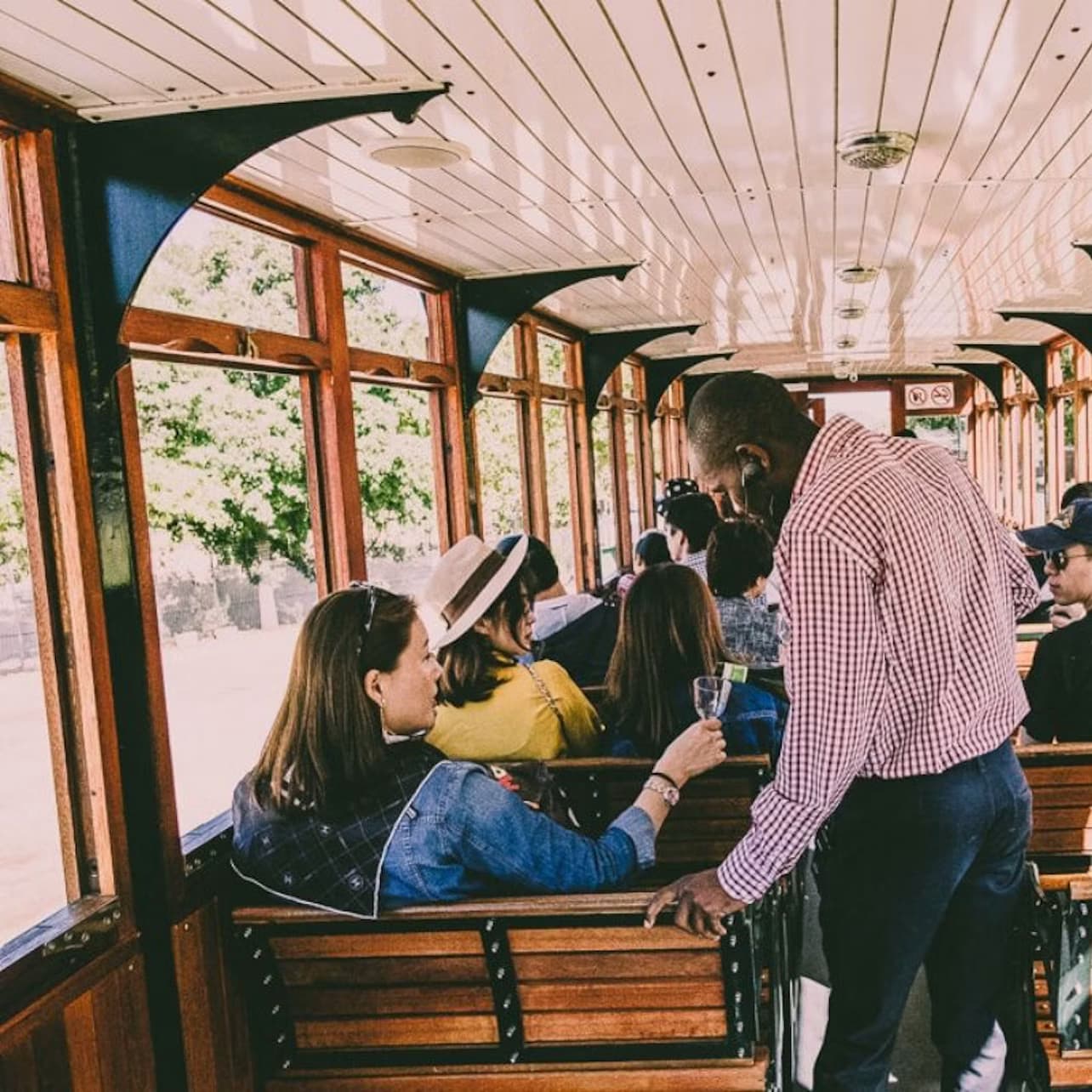 Cape Town: Full-Day Guided Safari + Roundtrip Transfer + Lunch