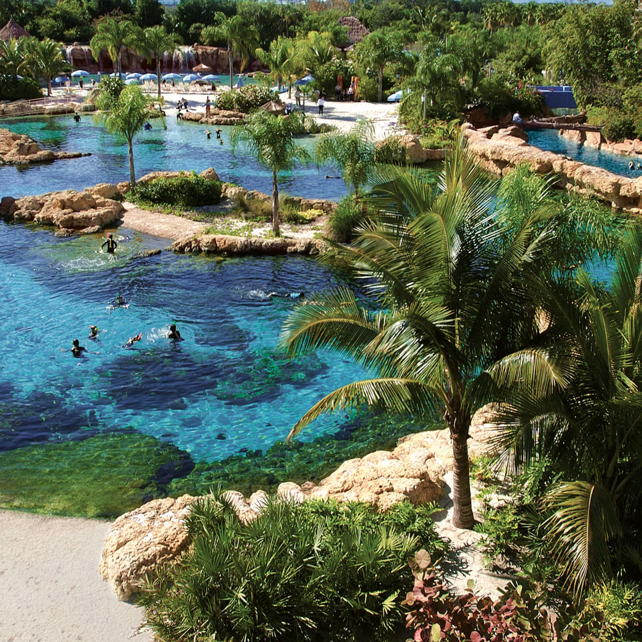 Discovery Cove: Entry Ticket