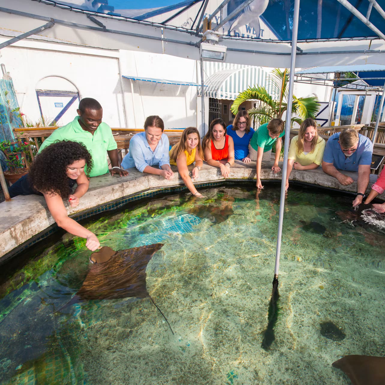 Key West Aquarium: Entry Ticket