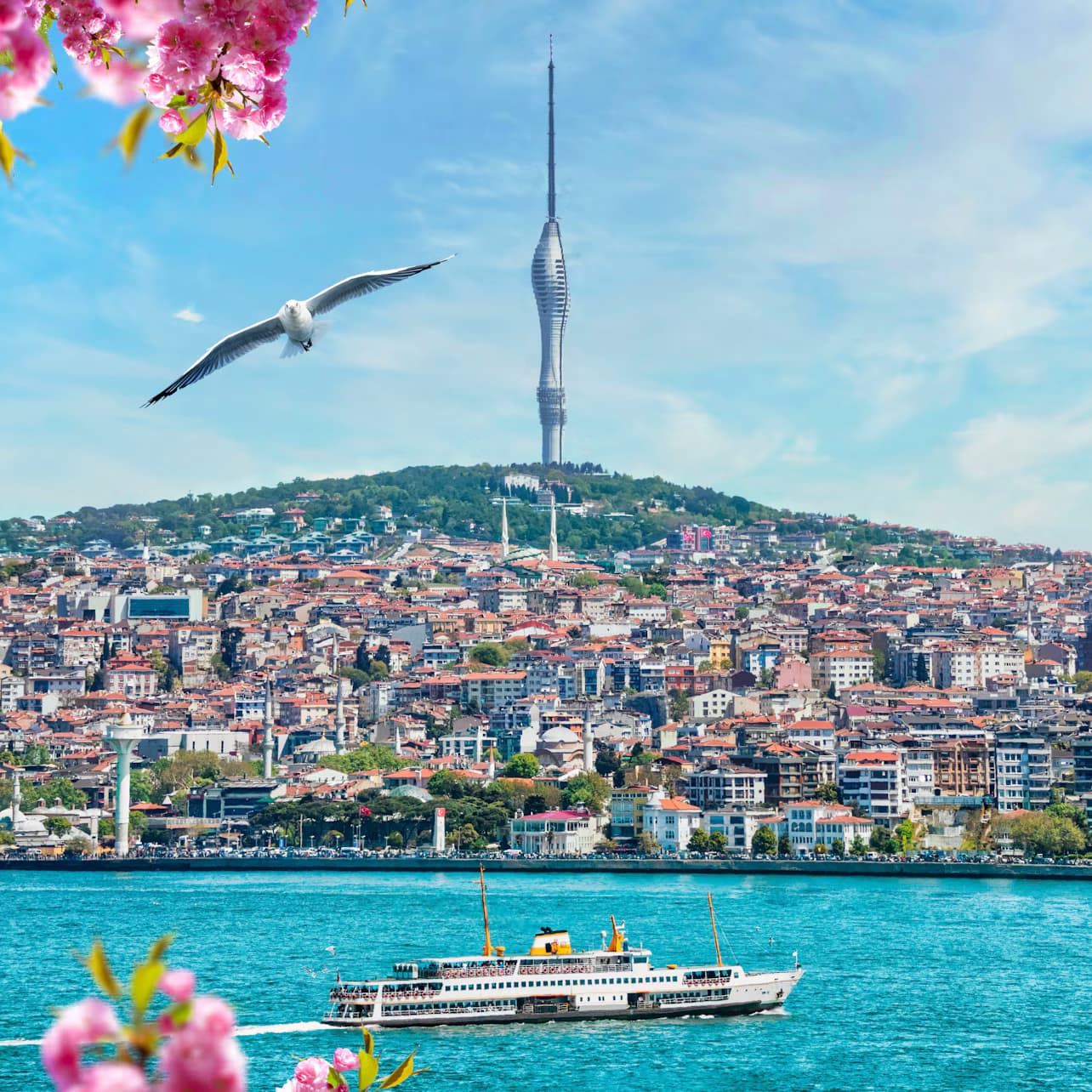 Istanbul Camlica Tower: Entry Ticket + Beverage