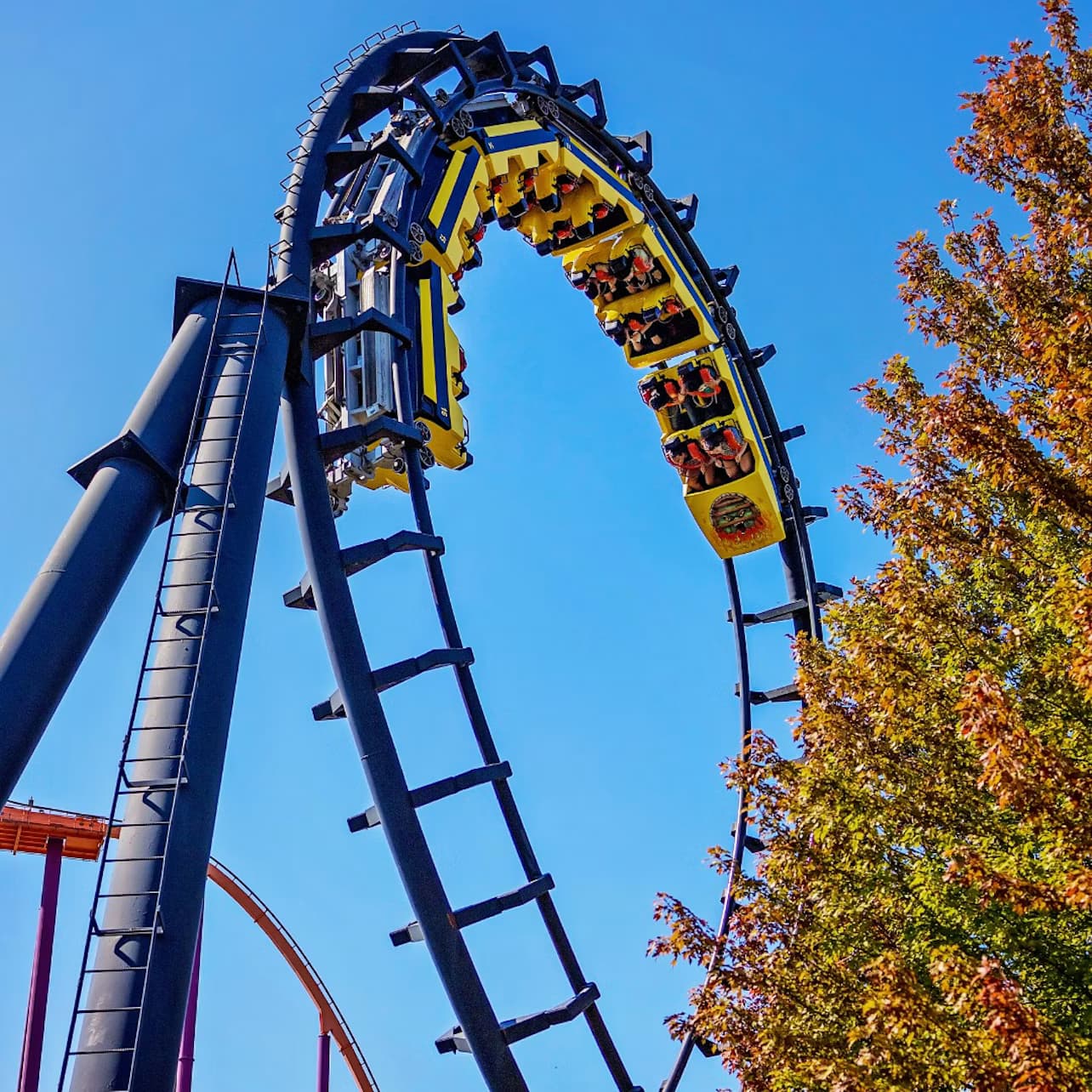 Six Flags Great America: One Day Ticket