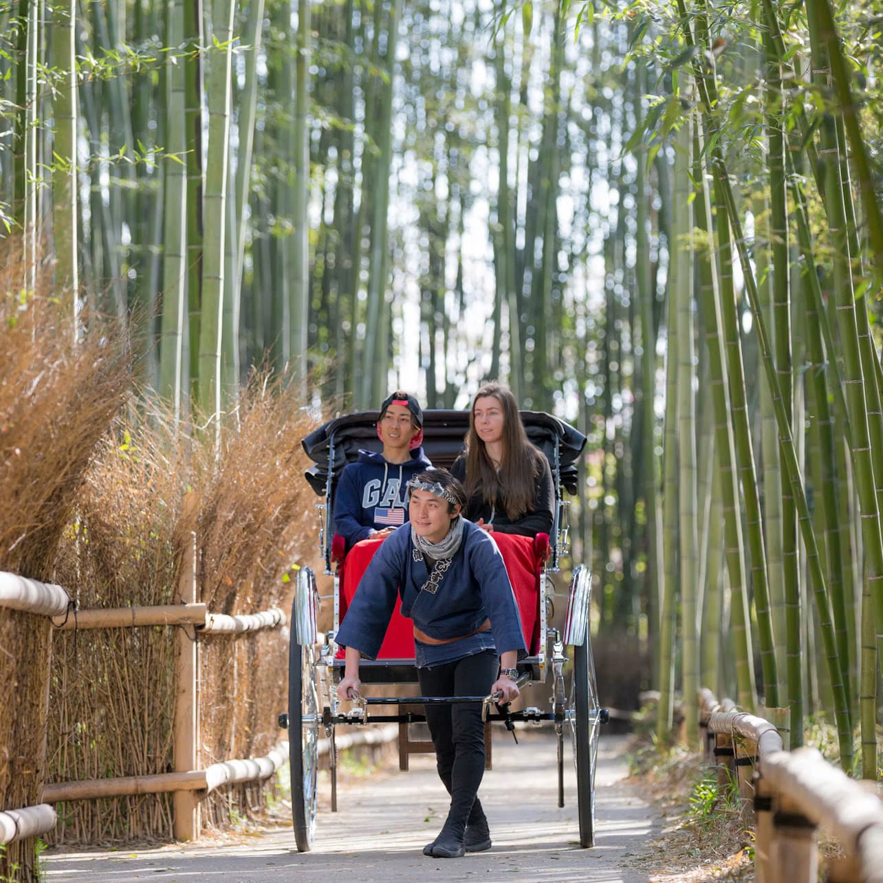 Fushimi Inari-Taisha, Arashiyama & Kiyomizu-Dera: Day Tour from Kyoto with Chicken Set Meal + Admission Ticket