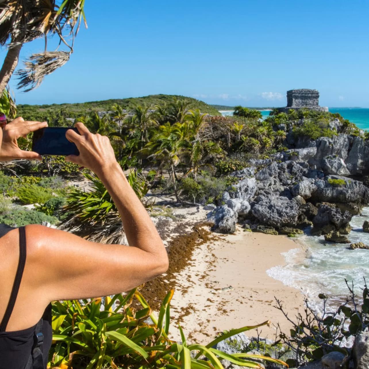 Tulum: Snorkeling with Turtles in Akumal + Mariposa Cenote + Lunch + Transfer