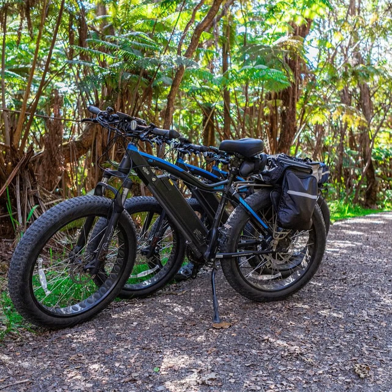 Hawaii Volcanoes National Park: E-Fat Bike Rental