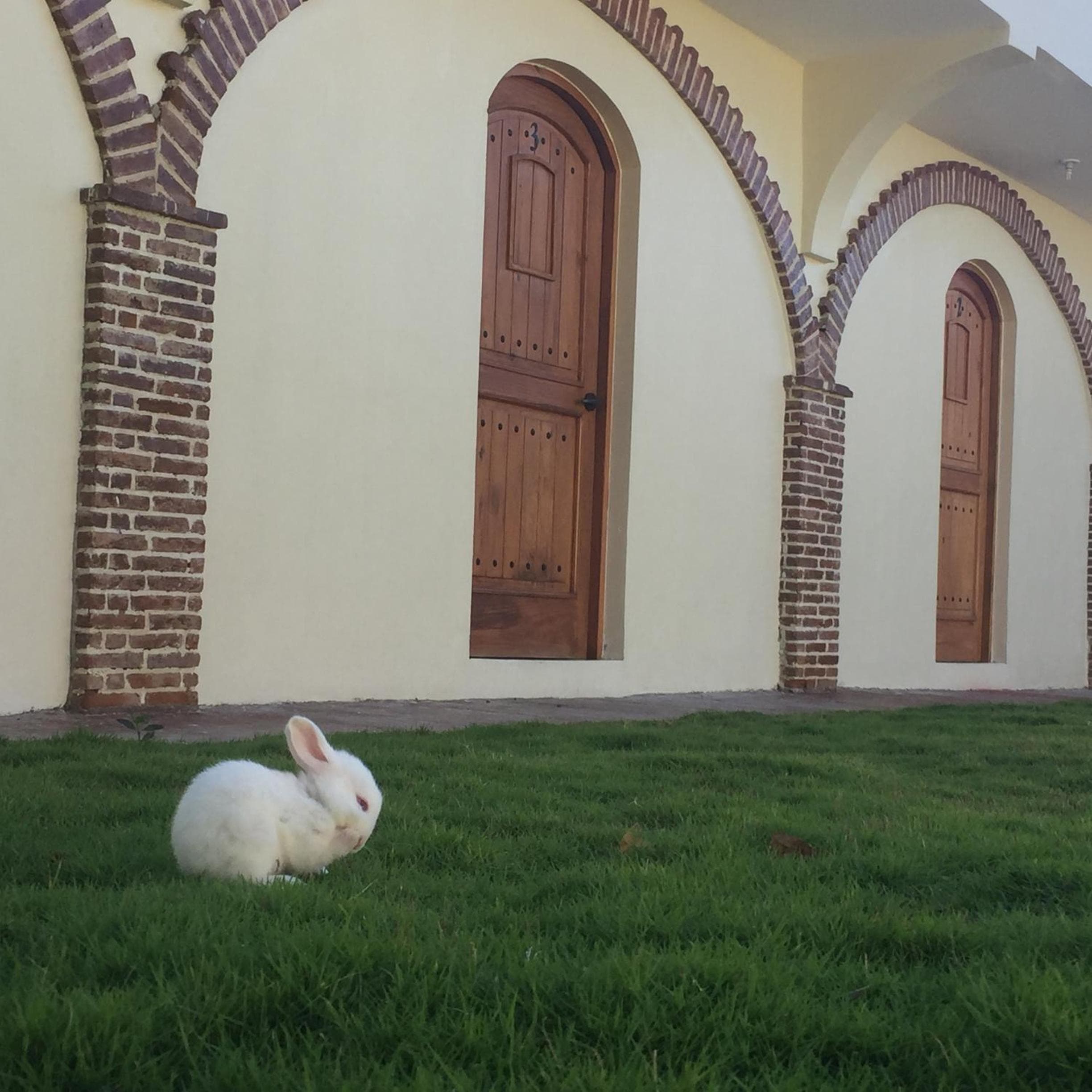 Hotel Yamilí
