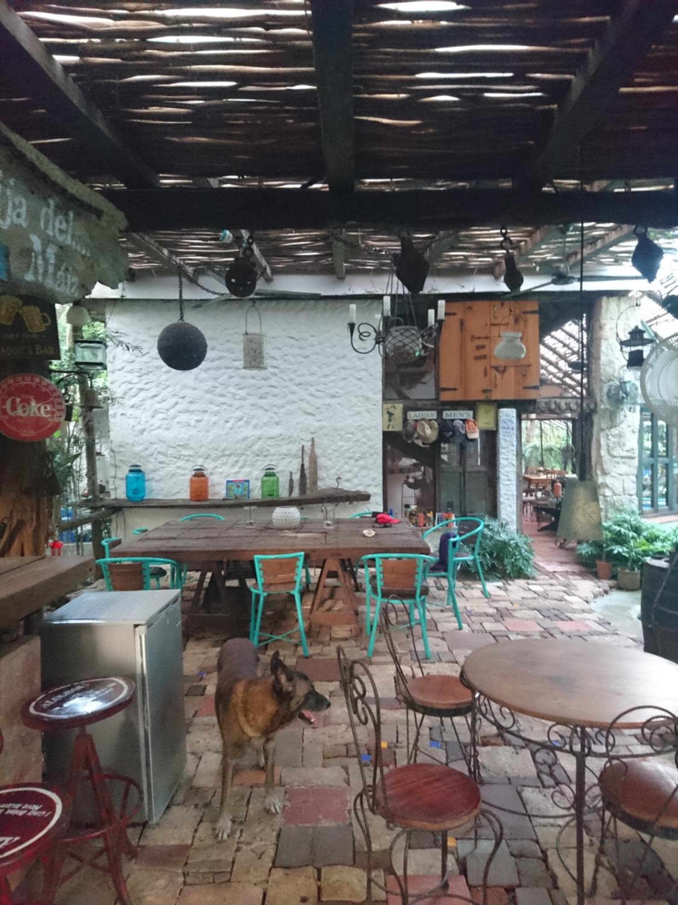 Jungle Lodge CANCUN AEROPUERTO