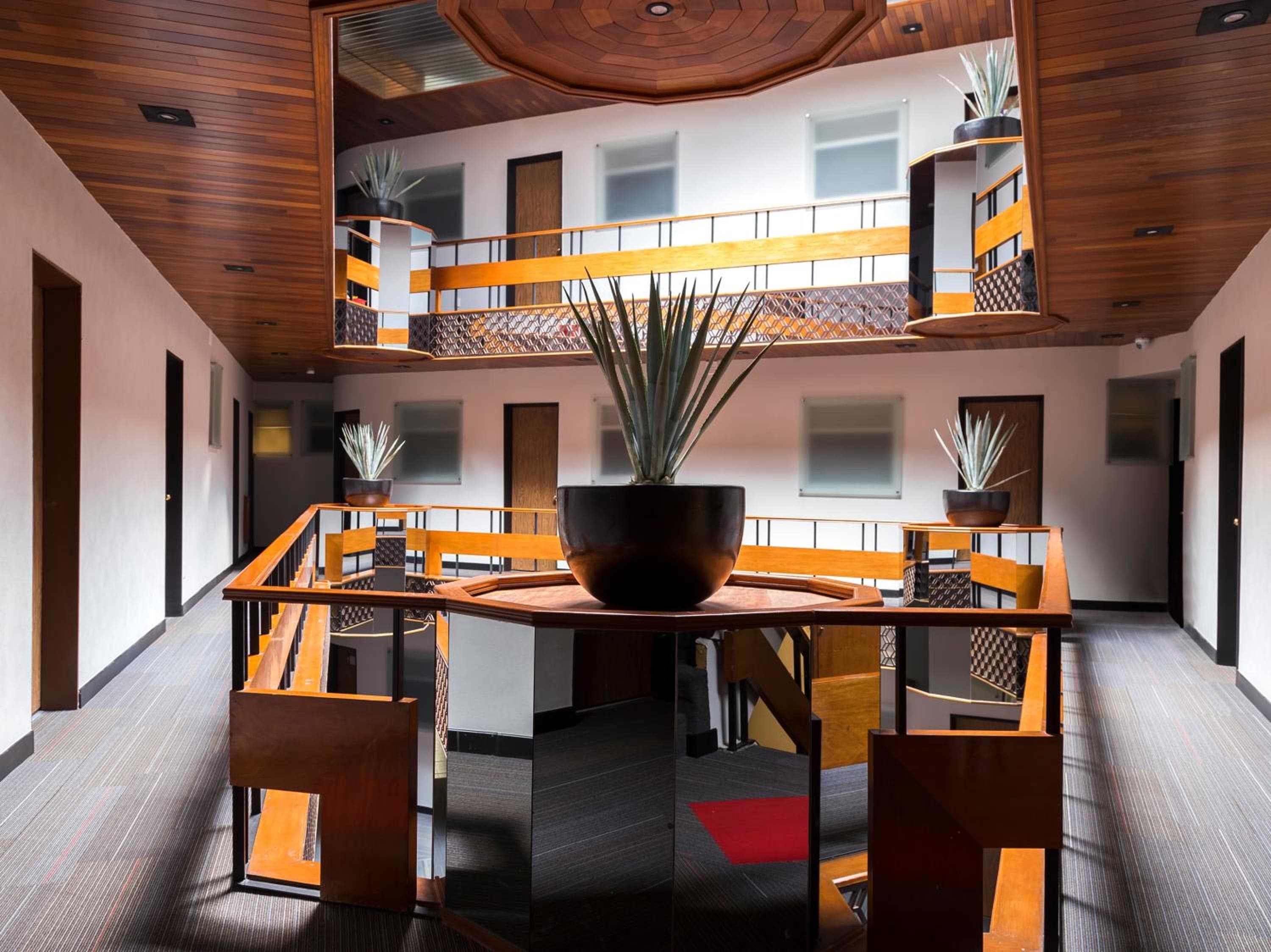 VOS Condesa: recepcion & lobby