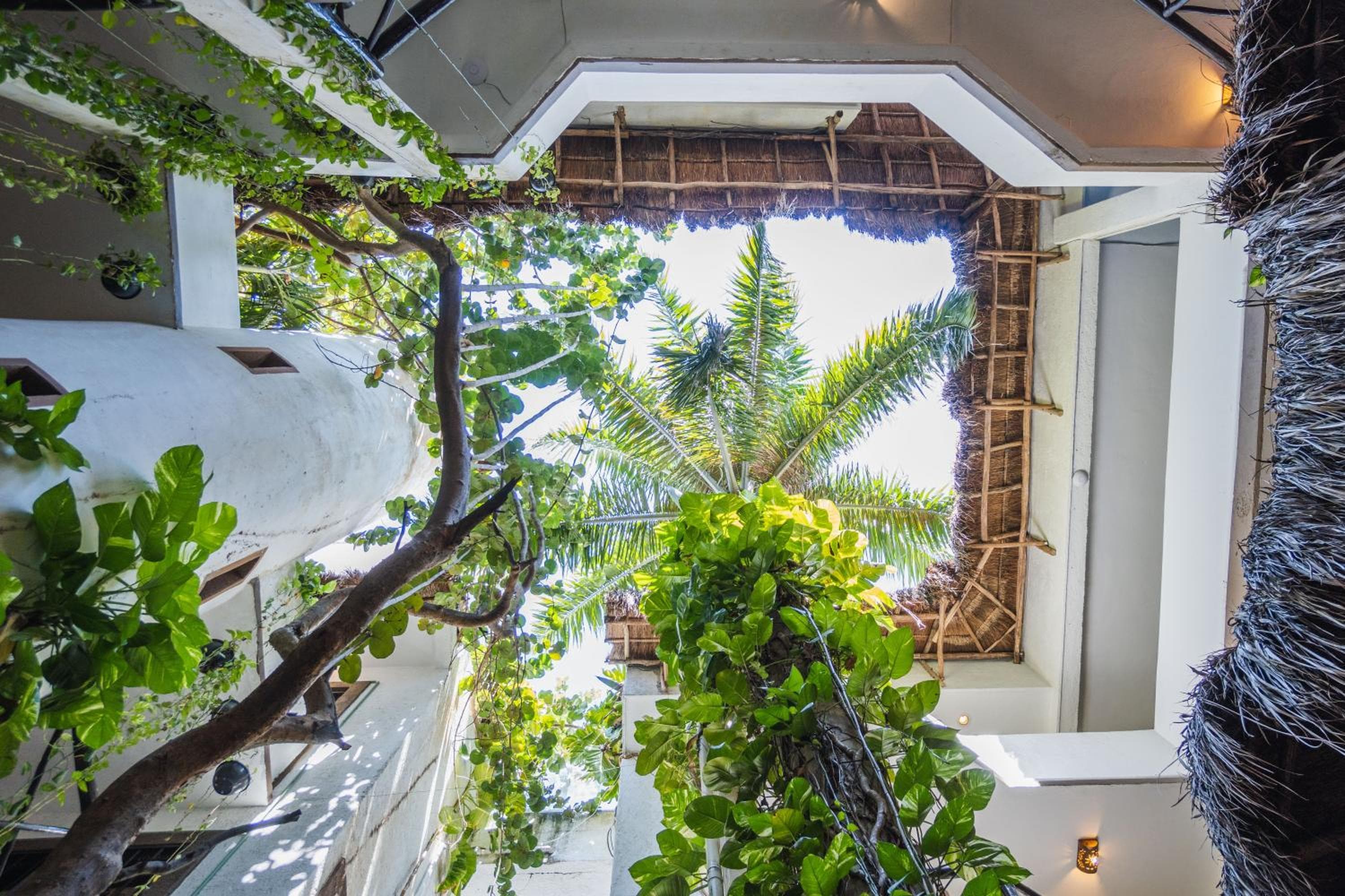 Posada Mariposa Boutique Hotel - 5th Avenue: building