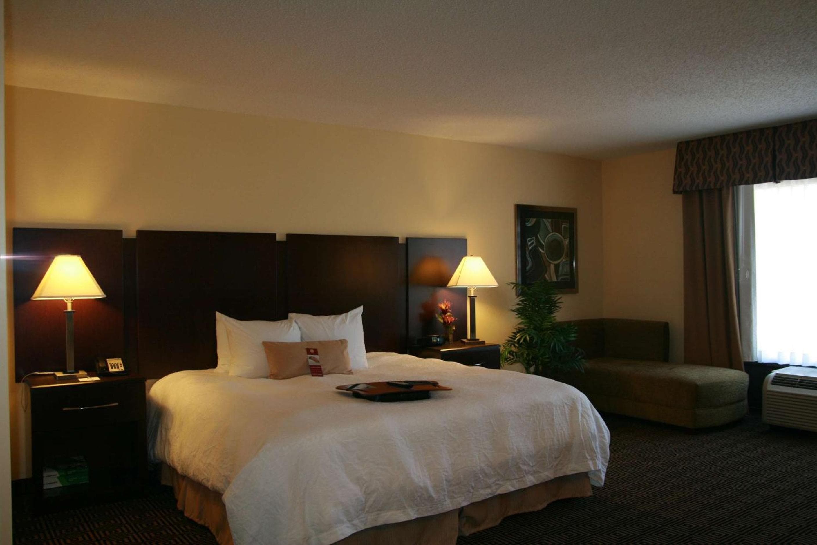 Hampton Inn & Suites Orlando-John Young Parkway/South Park