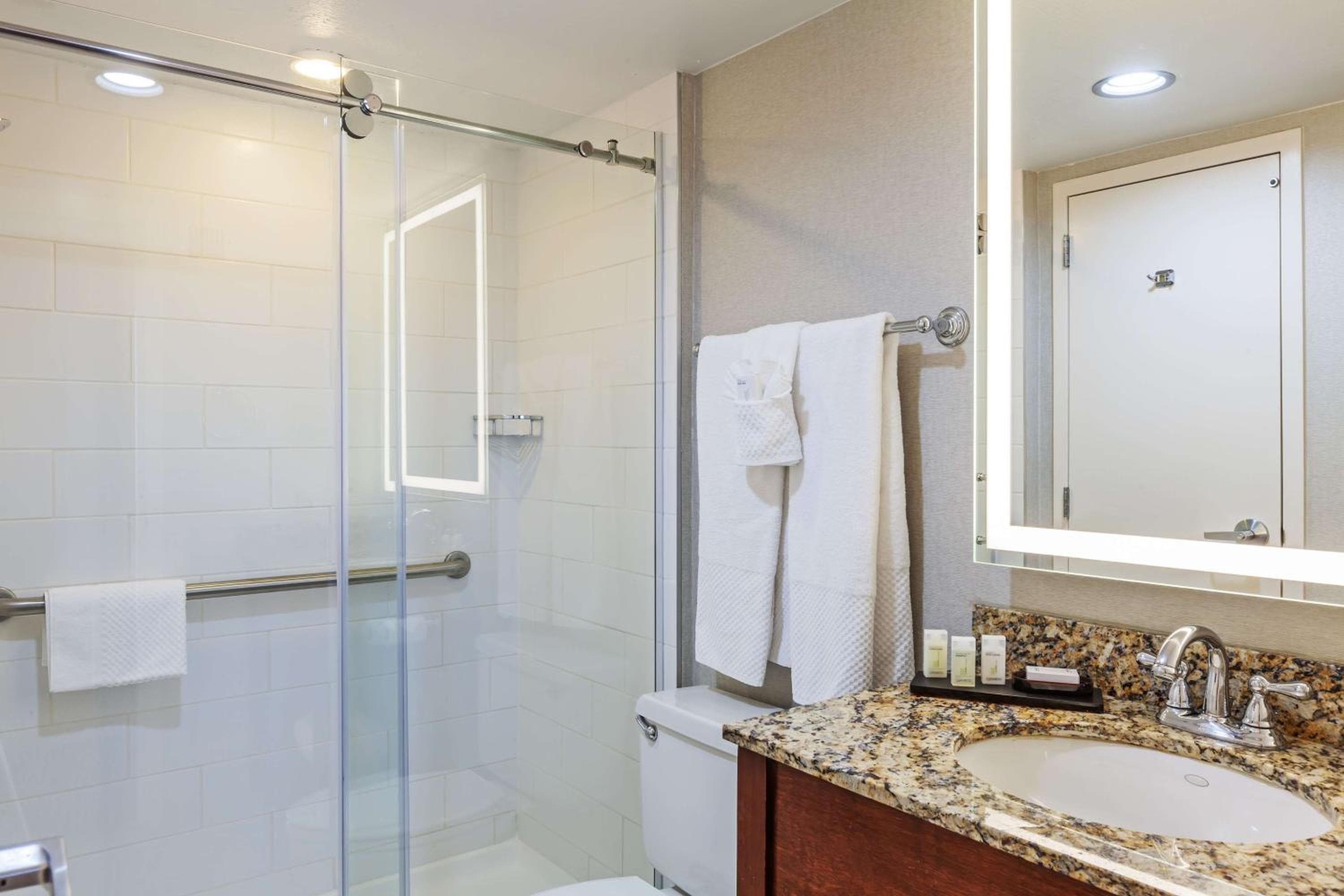 Embassy Suites by Hilton Dallas Market Center