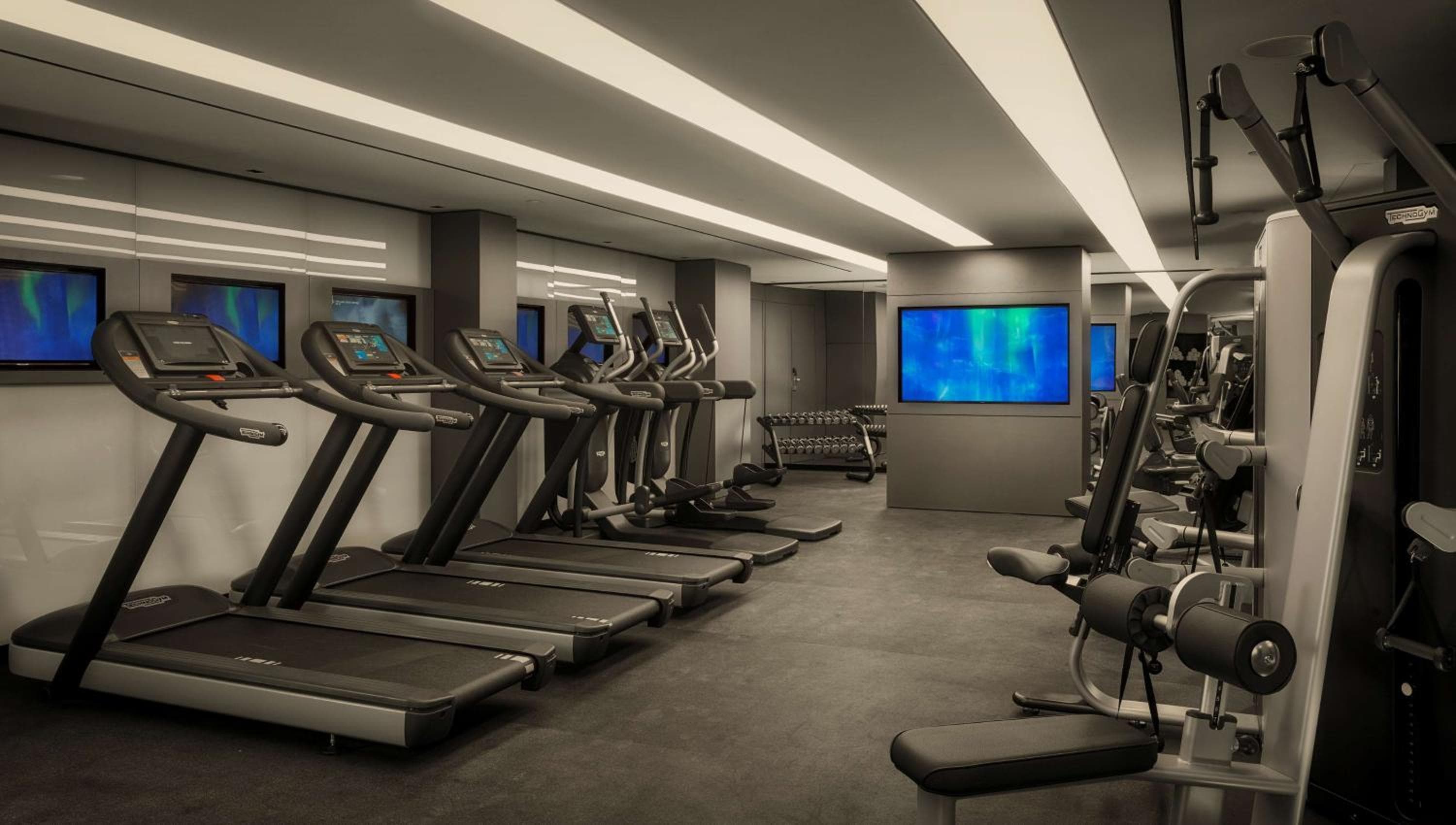 Park Plaza London Waterloo: fitness center