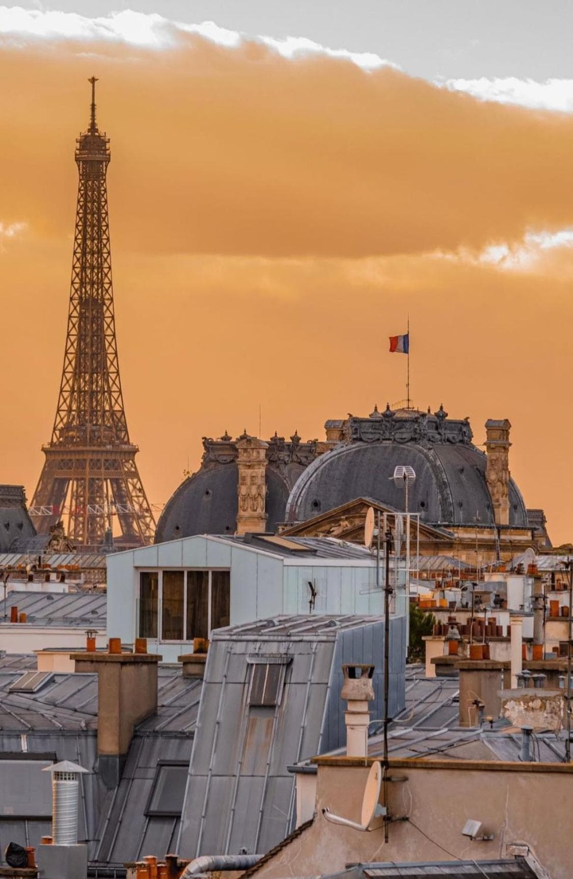 Novotel Paris Les Halles: other