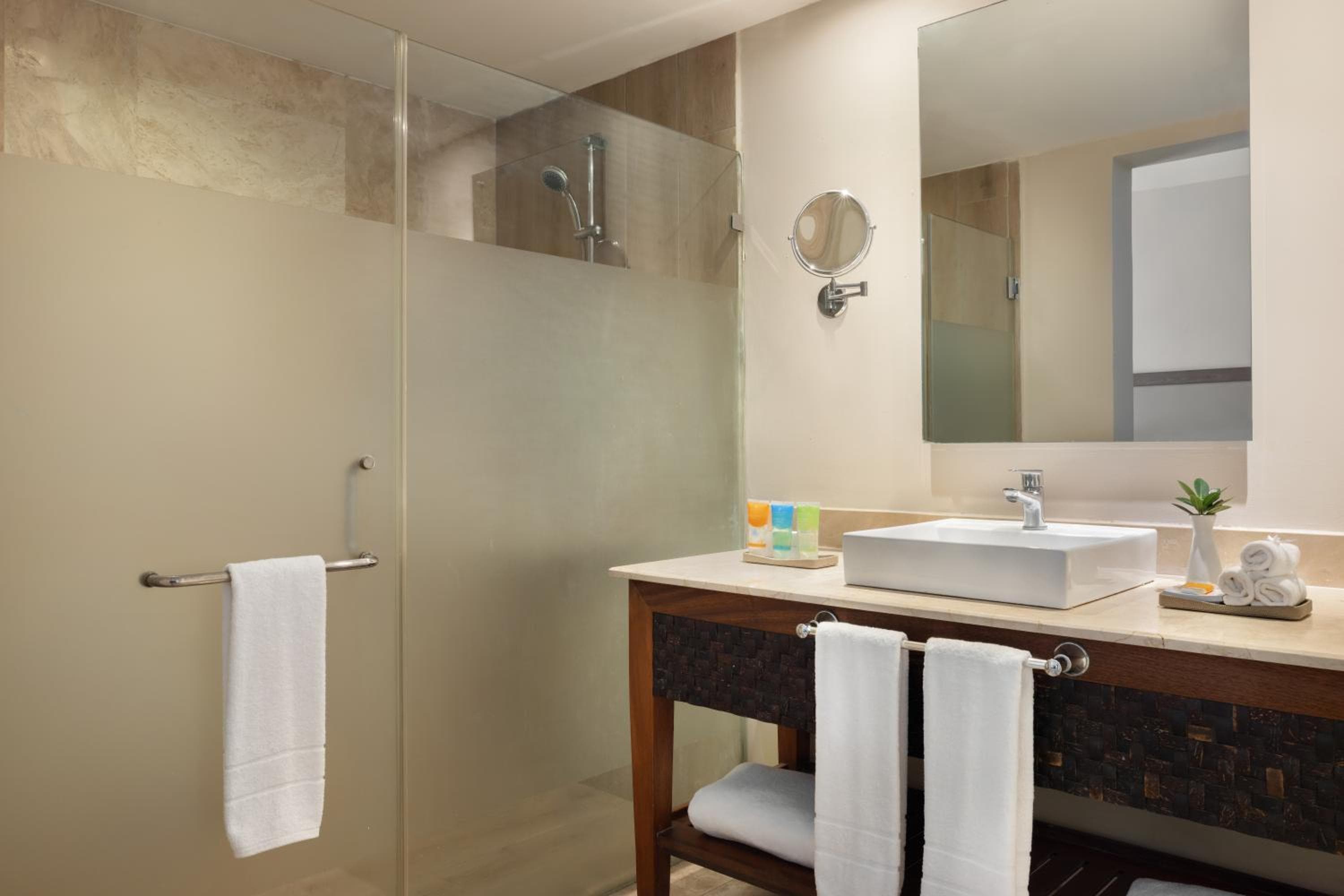 Sunscape Coco Punta Cana - All Inclusive: bathroom