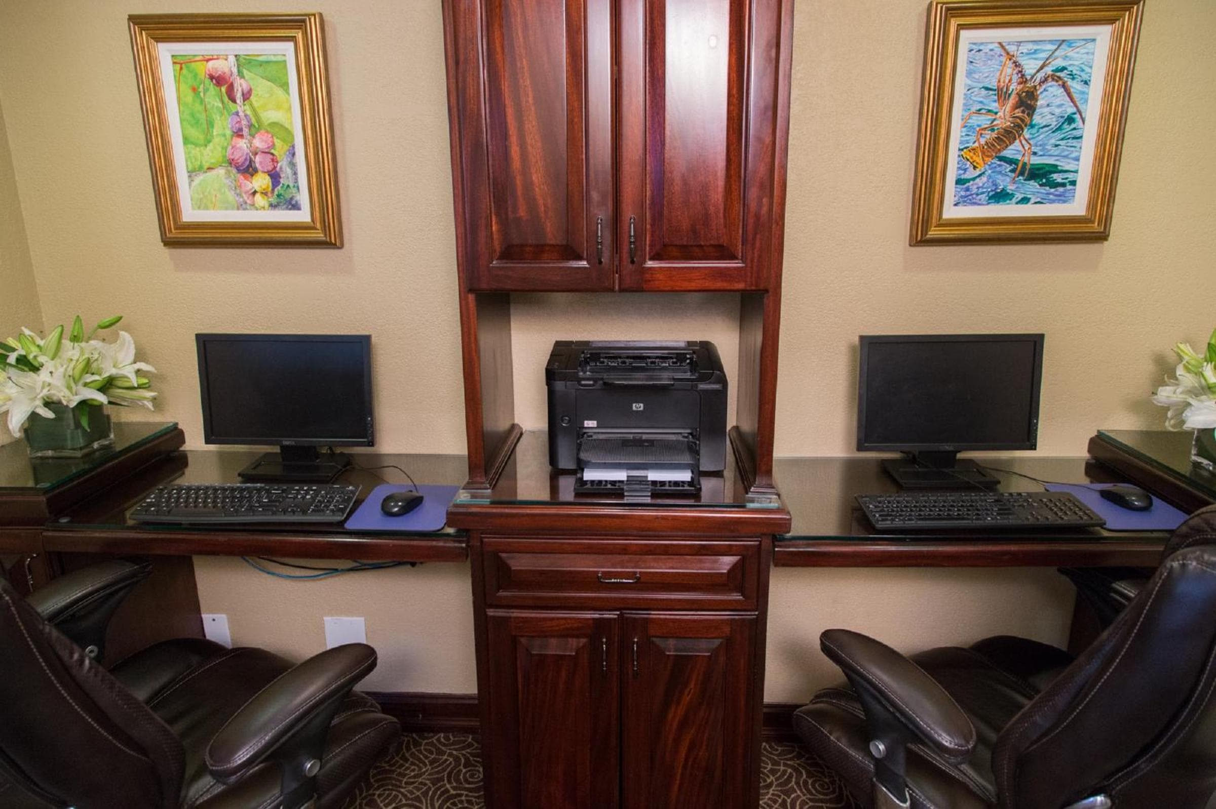 Comfort Suites Paradise Island